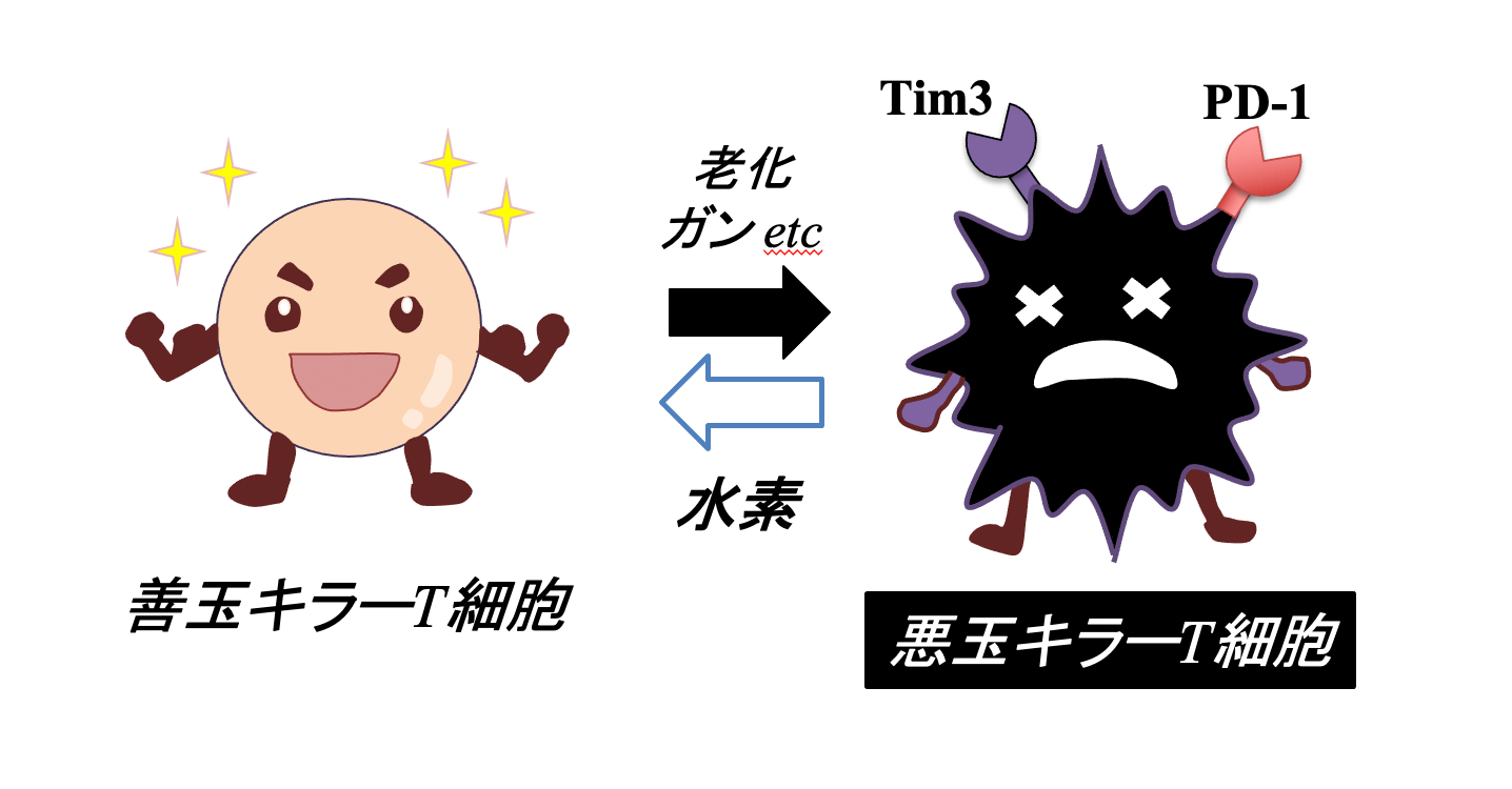 オプジーボが効くためには くまもと免疫統合医療クリニック